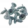 79-93 MUSTANG INNER DOOR BELT WEATHERSTRIP SCREWS                                                 
